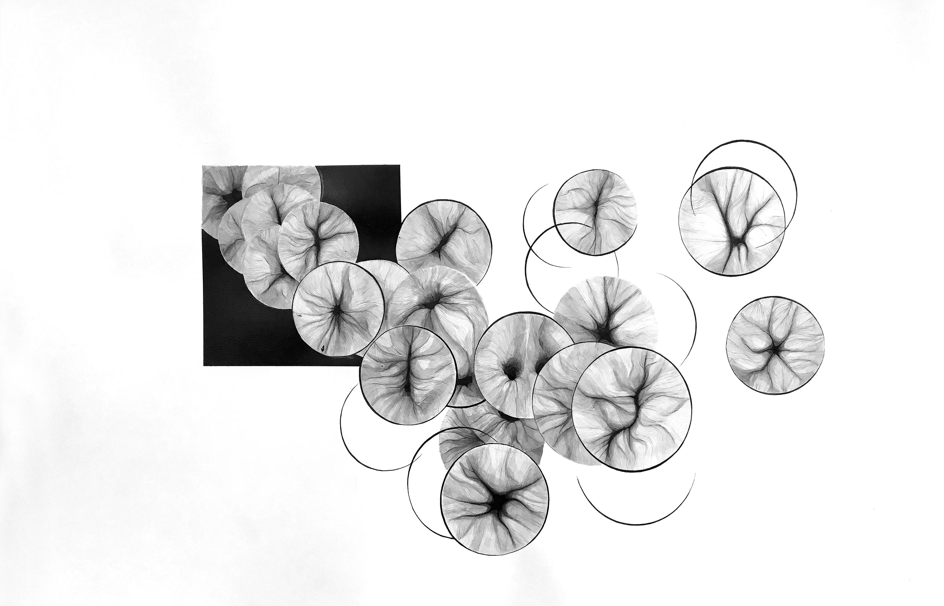 Internal Apertures IV